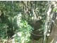 Lake Eacham QLD 4884