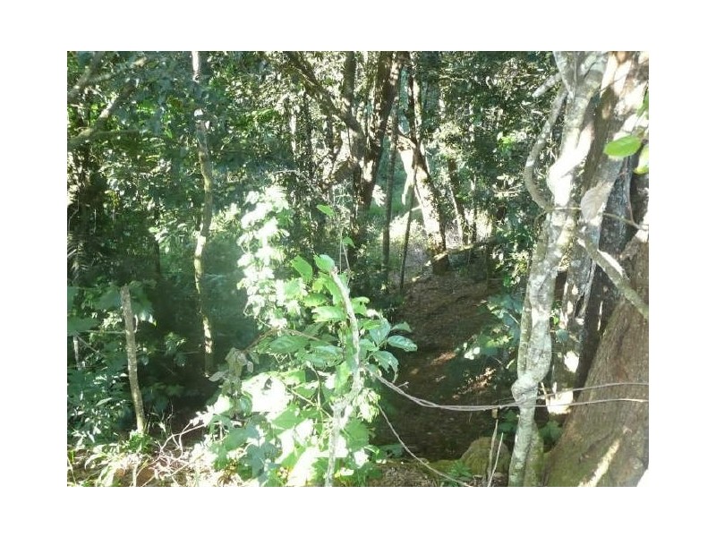 Lake Eacham QLD 4884