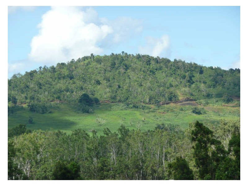 Atherton QLD 4883