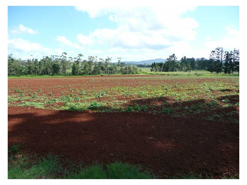 Atherton QLD 4883