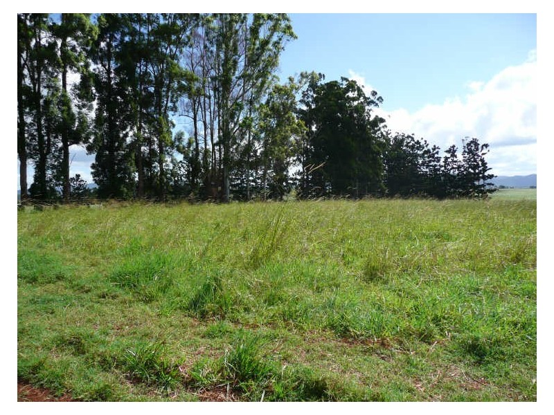 Atherton QLD 4883