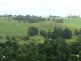Tarzali QLD 4885