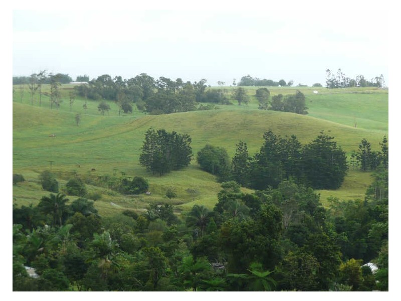 Tarzali QLD 4885
