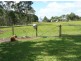 141 Bulankoff Rd, Tolga QLD 4882