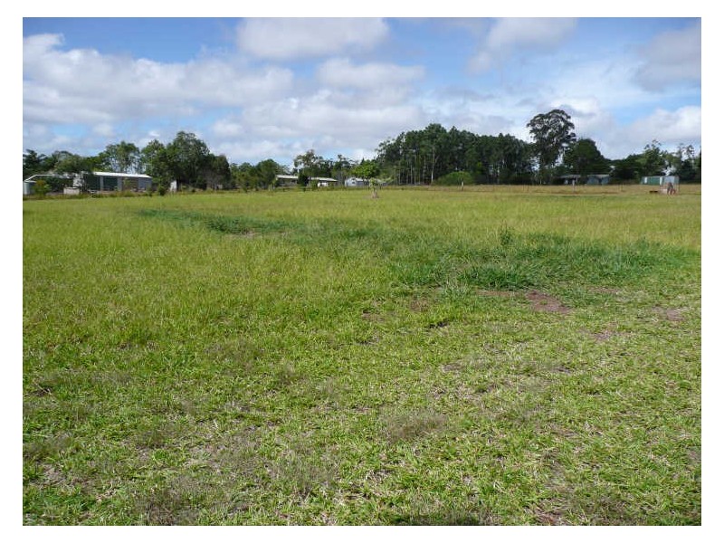 141 Bulankoff Rd, Tolga QLD 4882