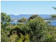 Yungaburra QLD 4884