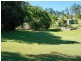 Yungaburra QLD 4884