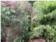 Yungaburra QLD 4884