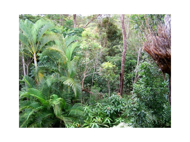 Yungaburra QLD 4884