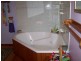 Yungaburra QLD 4884