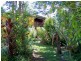 Yungaburra QLD 4884