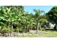 Tolga QLD 4882