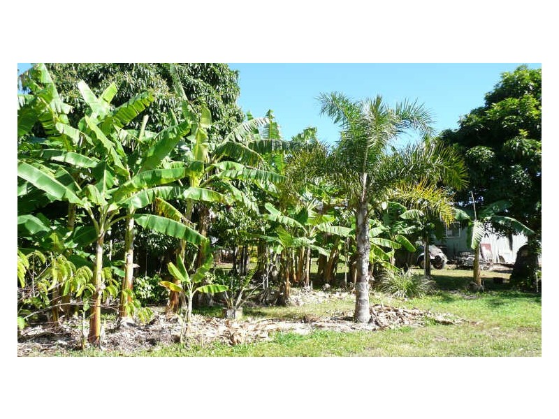 Tolga QLD 4882