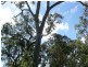 Tolga QLD 4882