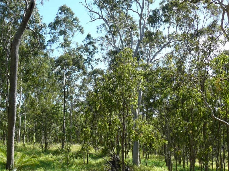 Tolga QLD 4882
