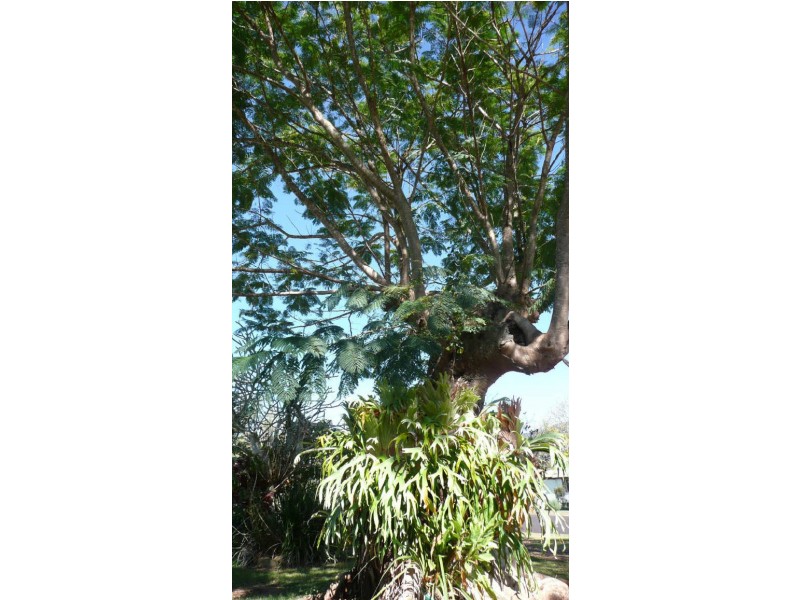 Atherton QLD 4883