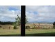 Yungaburra QLD 4884