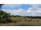 Yungaburra QLD 4884