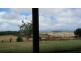 Yungaburra QLD 4884