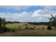 Yungaburra QLD 4884