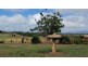 Yungaburra QLD 4884