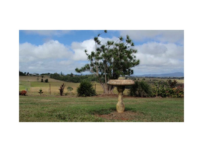 Yungaburra QLD 4884