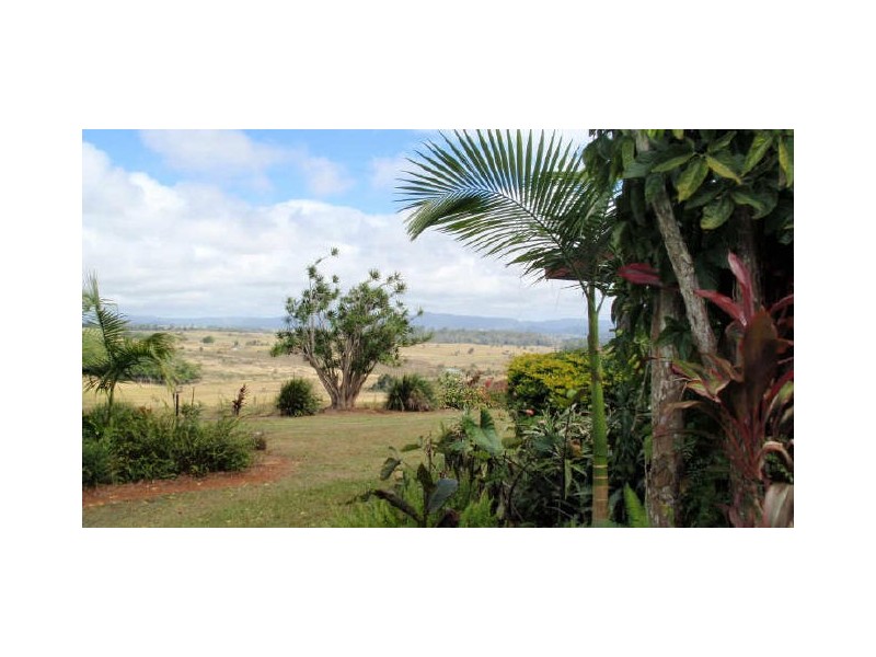 Yungaburra QLD 4884