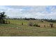 Yungaburra QLD 4884