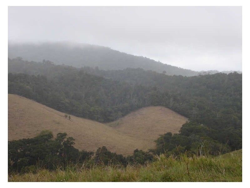 Lot 22 Kenny & Rock Rd Upper Barron, Atherton QLD 4883