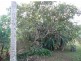 Yungaburra QLD 4884