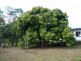 Yungaburra QLD 4884