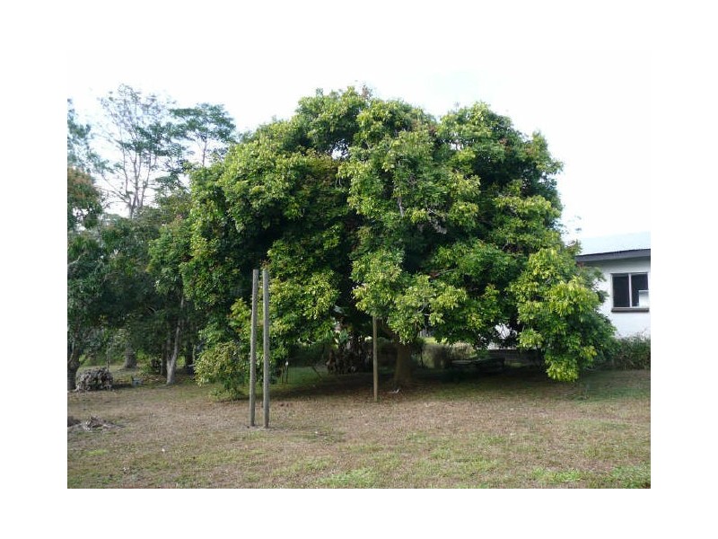 Yungaburra QLD 4884