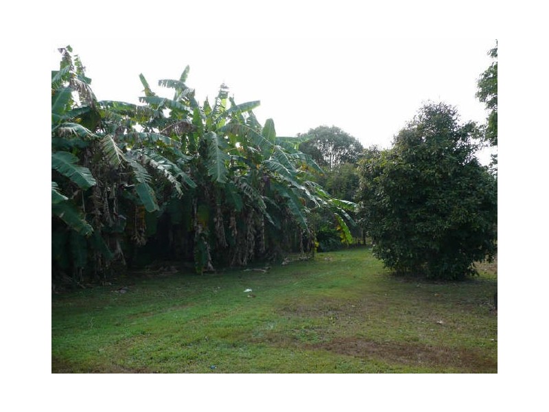 Yungaburra QLD 4884