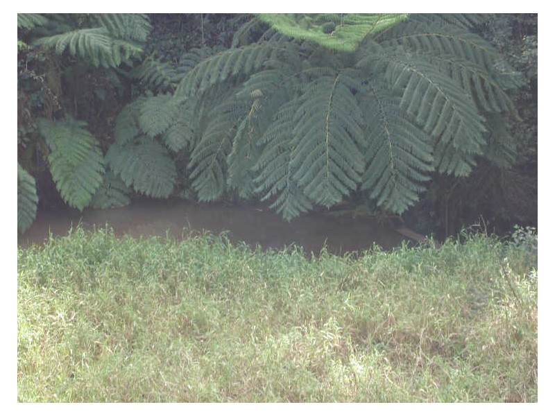 Atherton QLD 4883