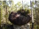 Atherton QLD 4883