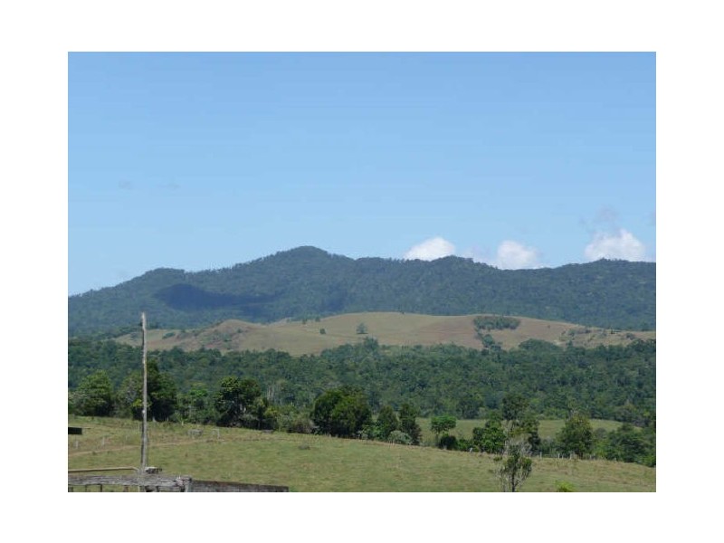 Millaa Millaa QLD 4886