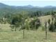 Millaa Millaa QLD 4886