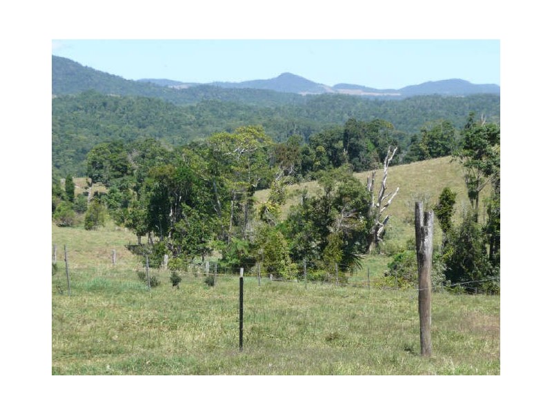Millaa Millaa QLD 4886