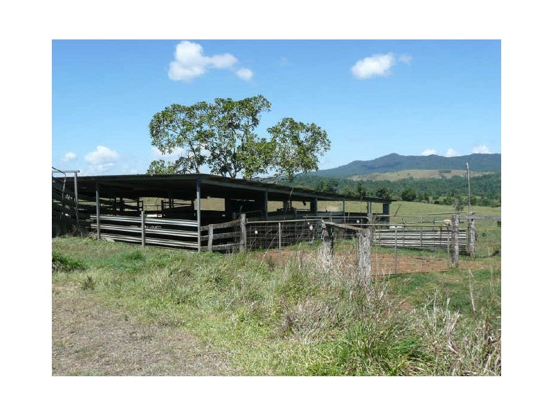 Millaa Millaa QLD 4886