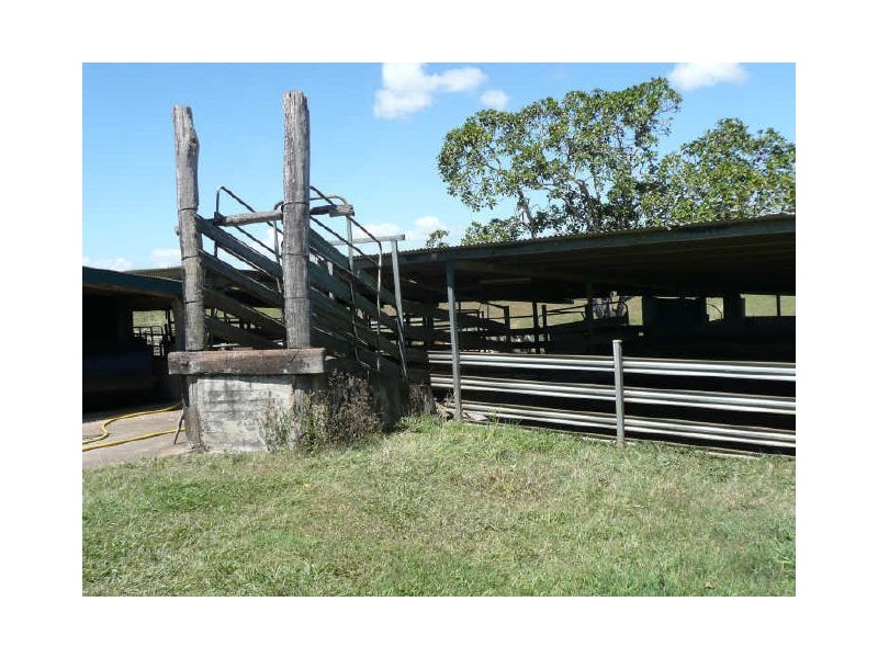 Millaa Millaa QLD 4886