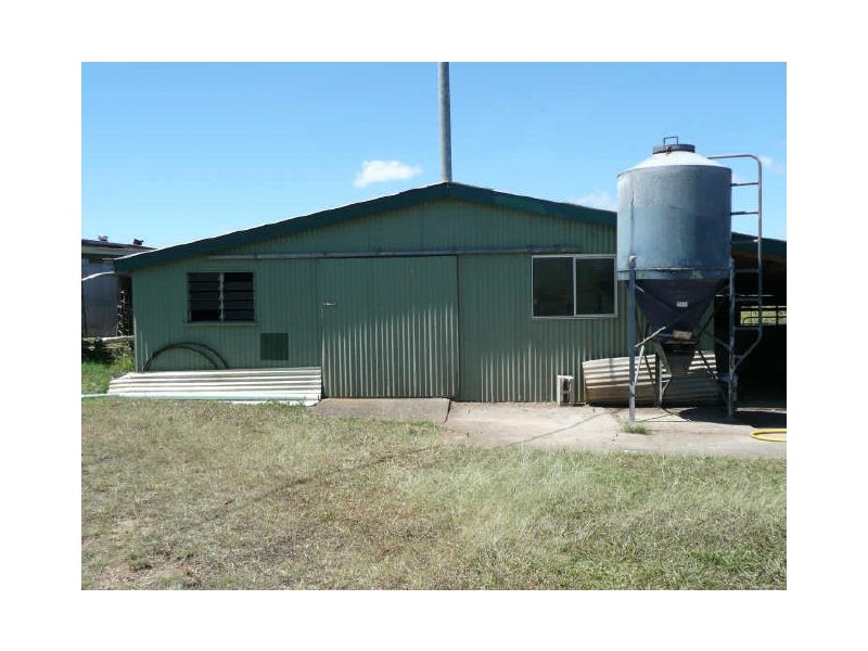 Millaa Millaa QLD 4886