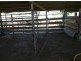 Millaa Millaa QLD 4886