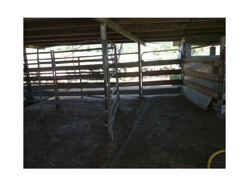Millaa Millaa QLD 4886