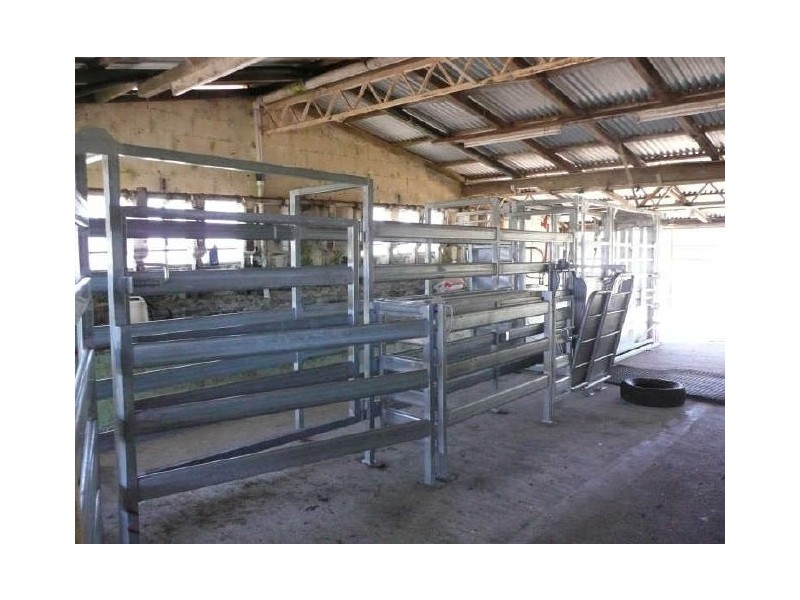 Millaa Millaa QLD 4886