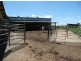 Millaa Millaa QLD 4886