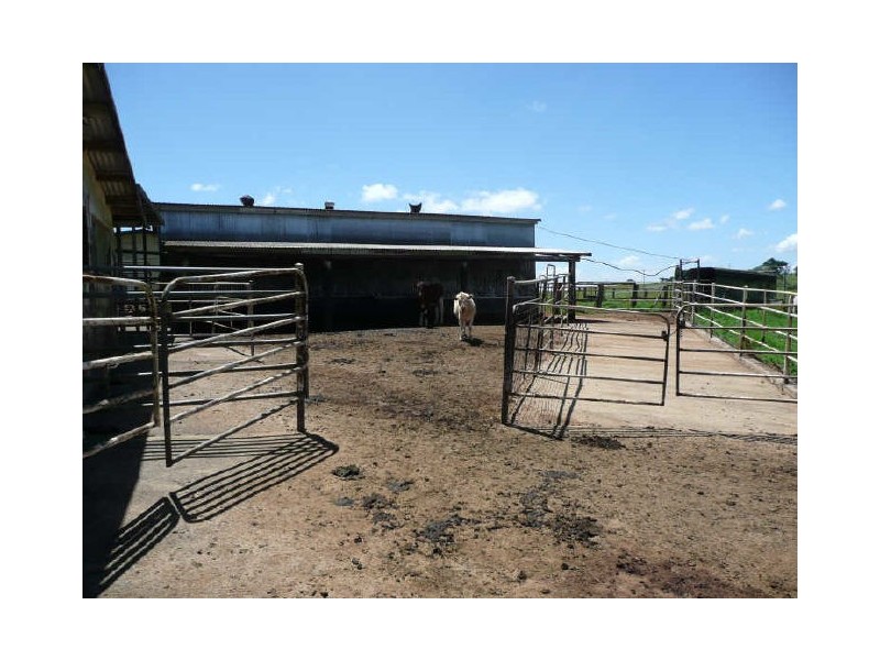 Millaa Millaa QLD 4886