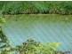 Millaa Millaa QLD 4886
