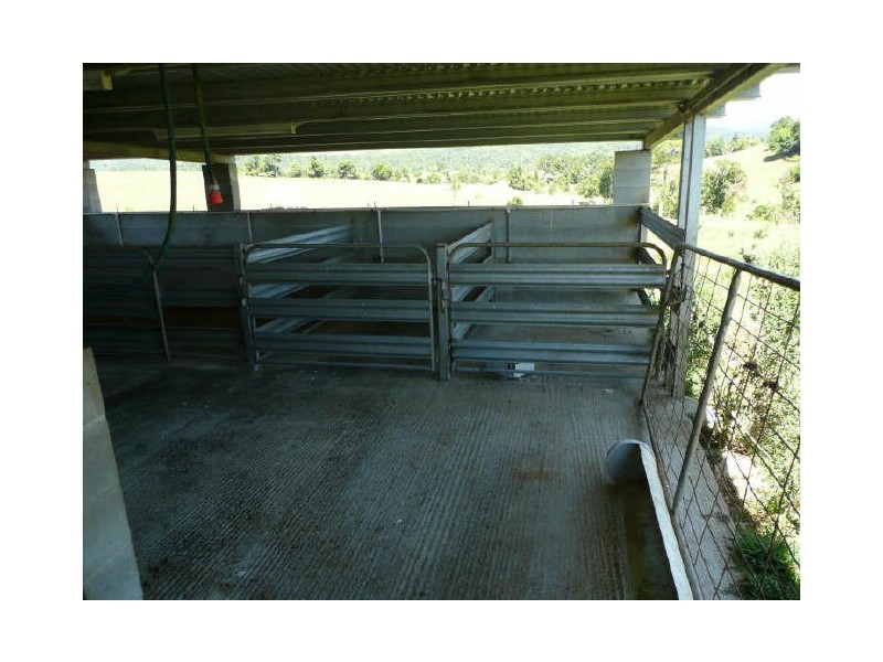 Millaa Millaa QLD 4886