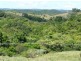 Millaa Millaa QLD 4886