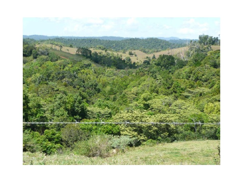 Millaa Millaa QLD 4886